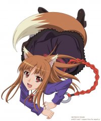 BUY NEW spice and wolf - 194651 Premium Anime Print Poster